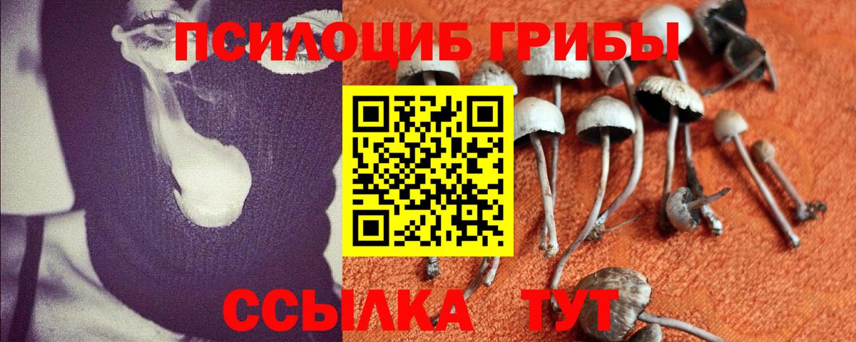 Галлюциногенные грибы Cubensis Домодедово