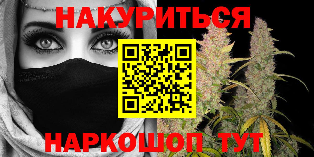 Конопля планчик  Вход с VPN  Домодедово  Бошки Шишки Amnesia  Каннабис сатива 